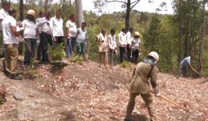 Forest fire control and mitigation workshop held in J-K’s Udhampur