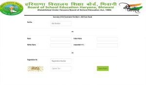 Haryana Board Class 10 Results Released: Charkhi Dadri Emerges Victorious; Bhiwani’s Deepika Topper