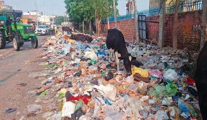 Decision on Sanitation Crisis in Haryana Today; Government Submits Proposal, Workers Call Meeting