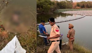 Unidentified body of 7-year-old child found in Chandigarh lake; Sensation spreads in the area