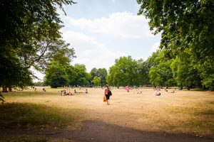 The Summertime Threat for Climate