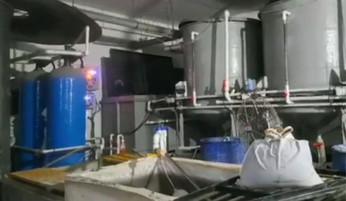 Four workers die after inhaling toxic gas during tank cleaning at jewellery unit in Surat