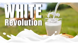 Stage for New White Revolution