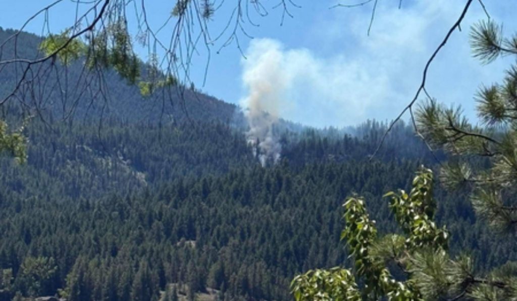 US fighter jet crashes in Washington state: Report