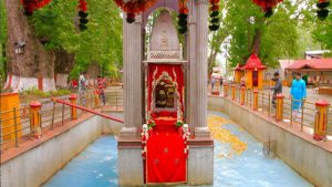J&K: Around 9,000 pilgrims depart from Nagrota for Annual Mata Kheer Bhawani Mela amid tight security
