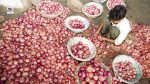 Govt Raises Onion Procurement Price to ₹16.5/kg from Saturday
