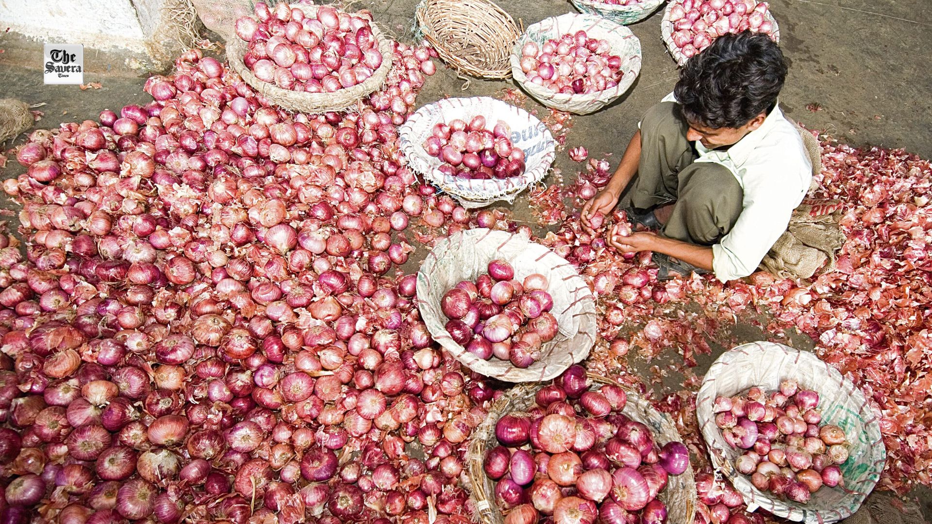 Govt hikes onion procurement rate to Rs 16.5 per kg from Saturday