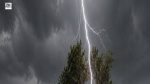 Chhattisgarh Lightning Strike Kills 3 MGNREGA Workers
