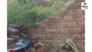 80 Kmph Storm Batters Haryana: Trees, Poles Uprooted; Roof Collapses in Kurukshetra, Alert Issued in 10 Districts