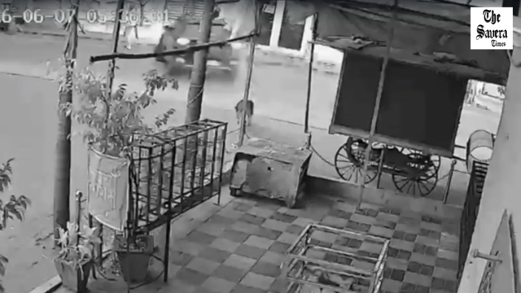 Nagpur Hit-and-Run: 72-Year-Old Dies After Five-Day Battle for Life, Accused Still Absconding