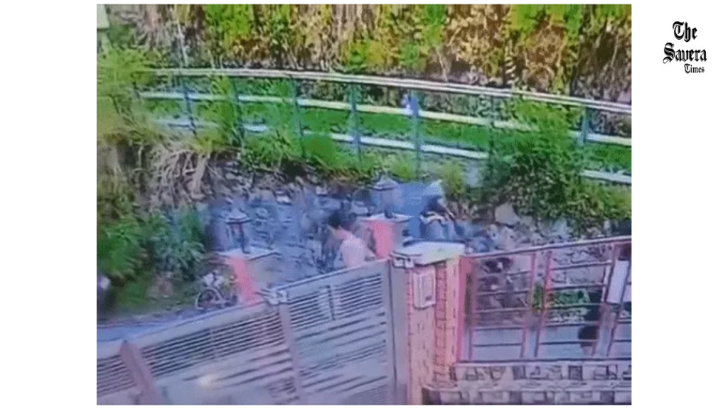 Haryanvi school operator murder in Shimla