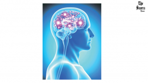 Is Alzheimer’s Written  in Our Genes?