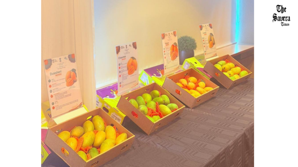 India Showcases Premium Mangoes in Iceland to Expand Export Market