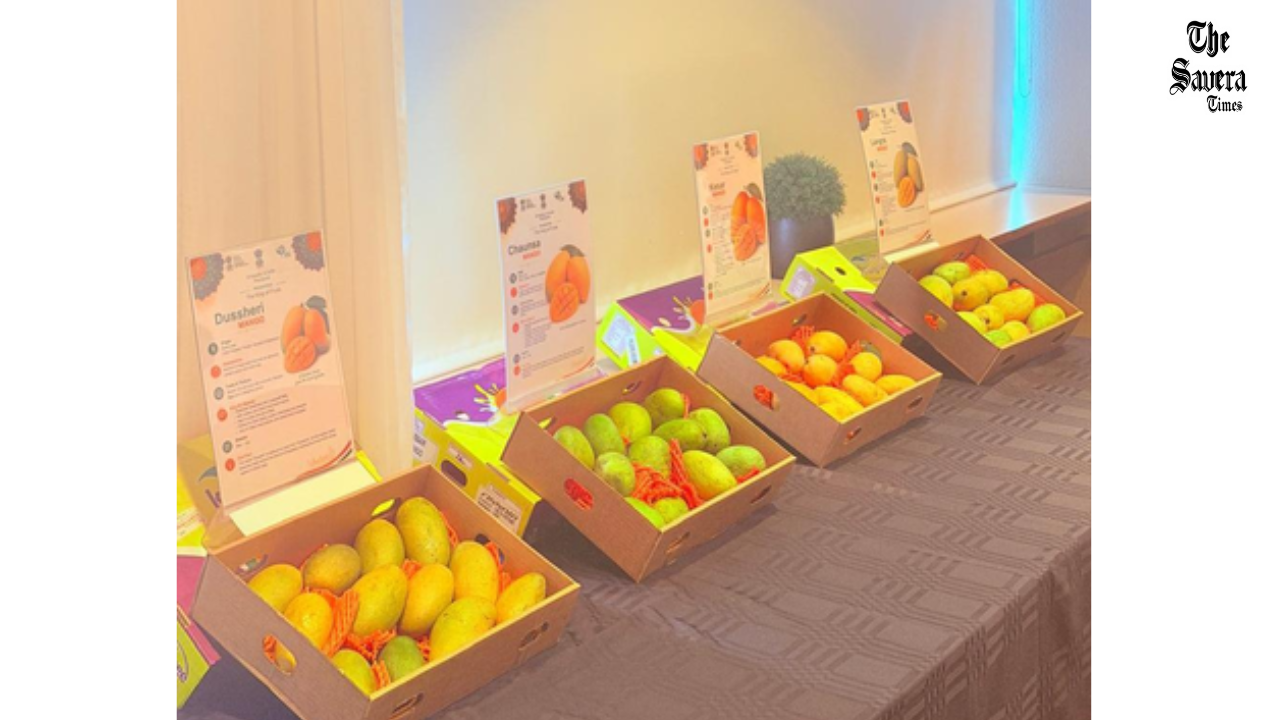India Showcases Premium Mangoes in Iceland to Expand Export Market