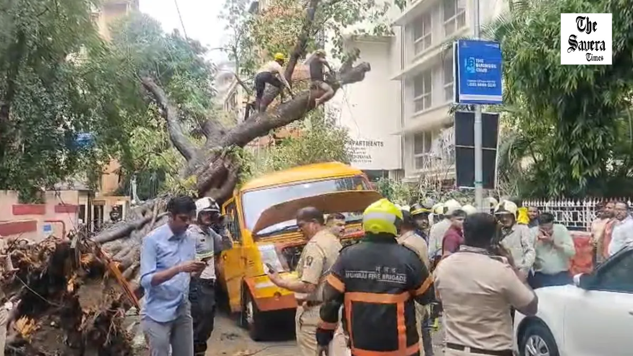 Student Killed, Four Injured as Tree Falls on School Bus in Mumbai’s Chembur