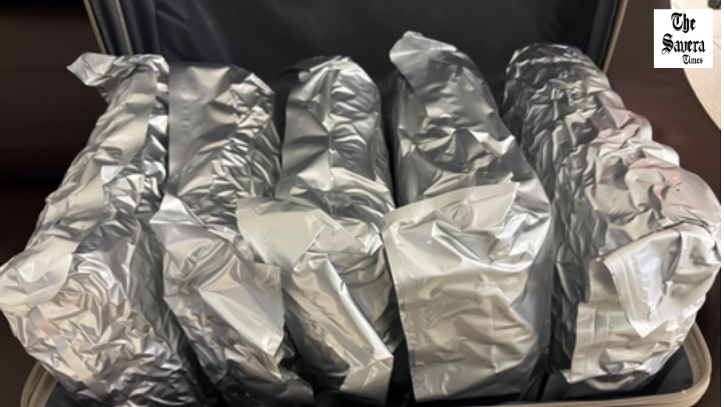 Ahmedabad Customs Seize 10.91 kg Hydroponic Marijuana Worth ₹11 Crore, Passenger Arrested