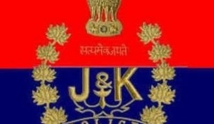J&K Crime Branch files chargesheet in land fraud case in Srinagar, names three