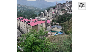 Himachal: Former chief secretaries lock horns over Chester Hills land case