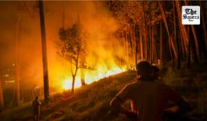 Maharashtra Govt Plans Stronger Action Against Forest Fires, Crop Insurance Fraud Under Scanner
