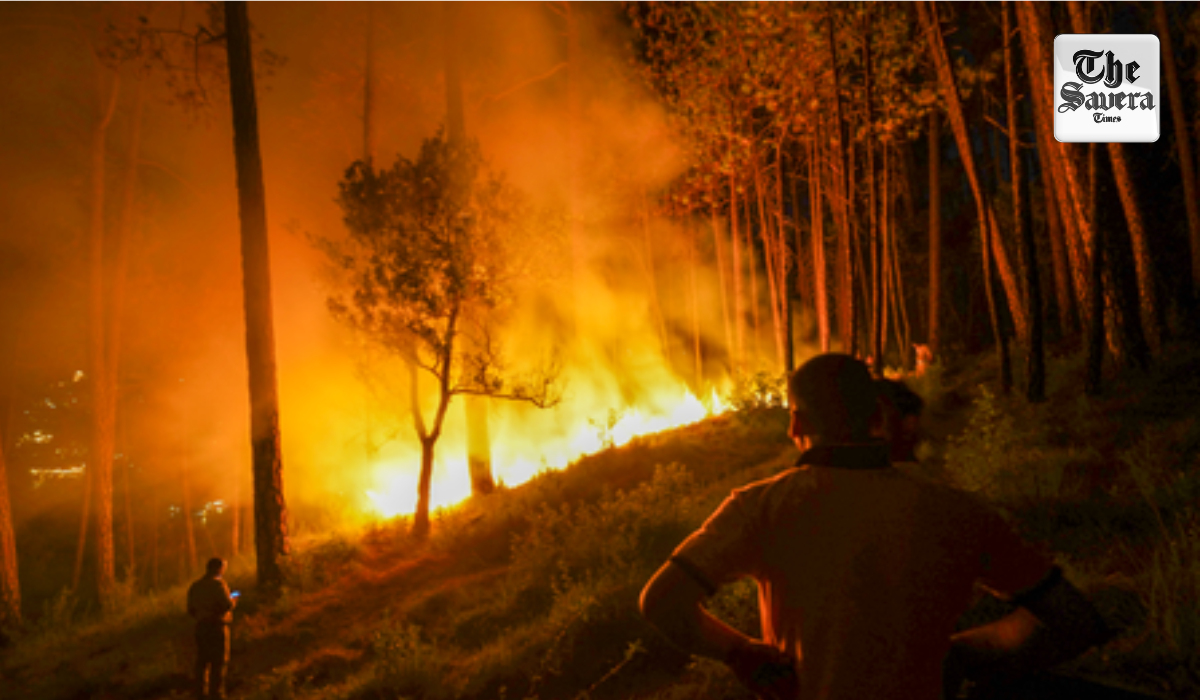 Maharashtra Govt Plans Stronger Action Against Forest Fires, Crop Insurance Fraud Under Scanner