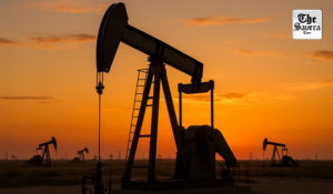 Russia eyes gasoline imports from India amid refinery disruptions: Report