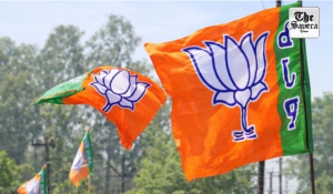 Delhi BJP Announces Office-Bearers for 11 Organisational Districts, Says Harsh Malhotra