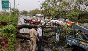 Uttar Pradesh: Storms and rain caused massive destruction; dozens of trees, hoardings, and poles toppled; power supply disrupted
