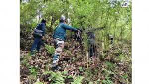 Army, ITBP Join Search for Missing Woman Trekker in Uttarakhand’s Dayara Bugyal