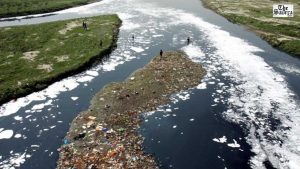 Ludhiana Budha Dariya Pollution Case: FIR Registered Against Two Dairy Operators for Illegal Waste Discharge
