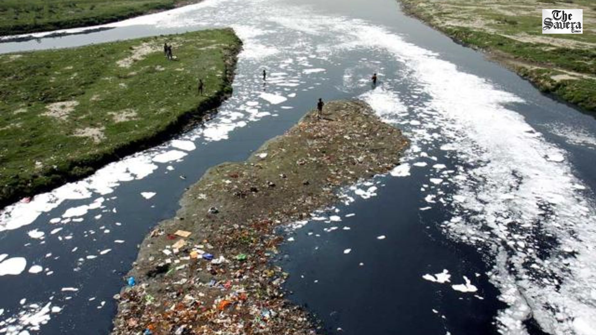 Ludhiana Budha Dariya Pollution Case: FIR Registered Against Two Dairy Operators for Illegal Waste Discharge