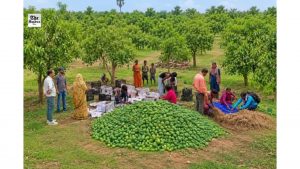 Jharkhand Makes Global Debut in Fruit Exports, Sends First Mango Consignment to UK