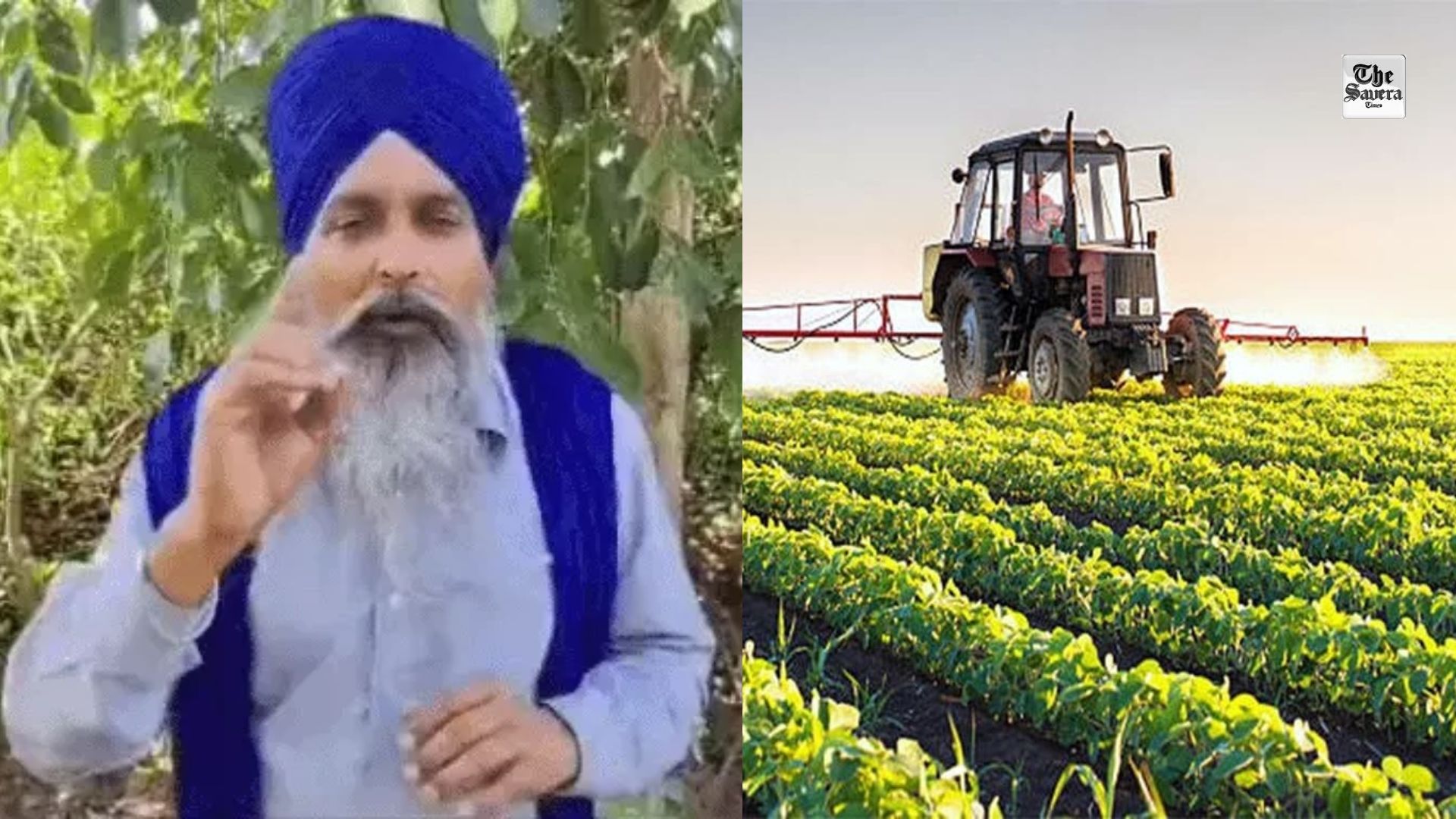 Farmers to Protest in 17 Punjab Districts Tomorrow, Effigies of Centre and State Governments to Be Burnt Over Land Acquisition and Urea Shortage