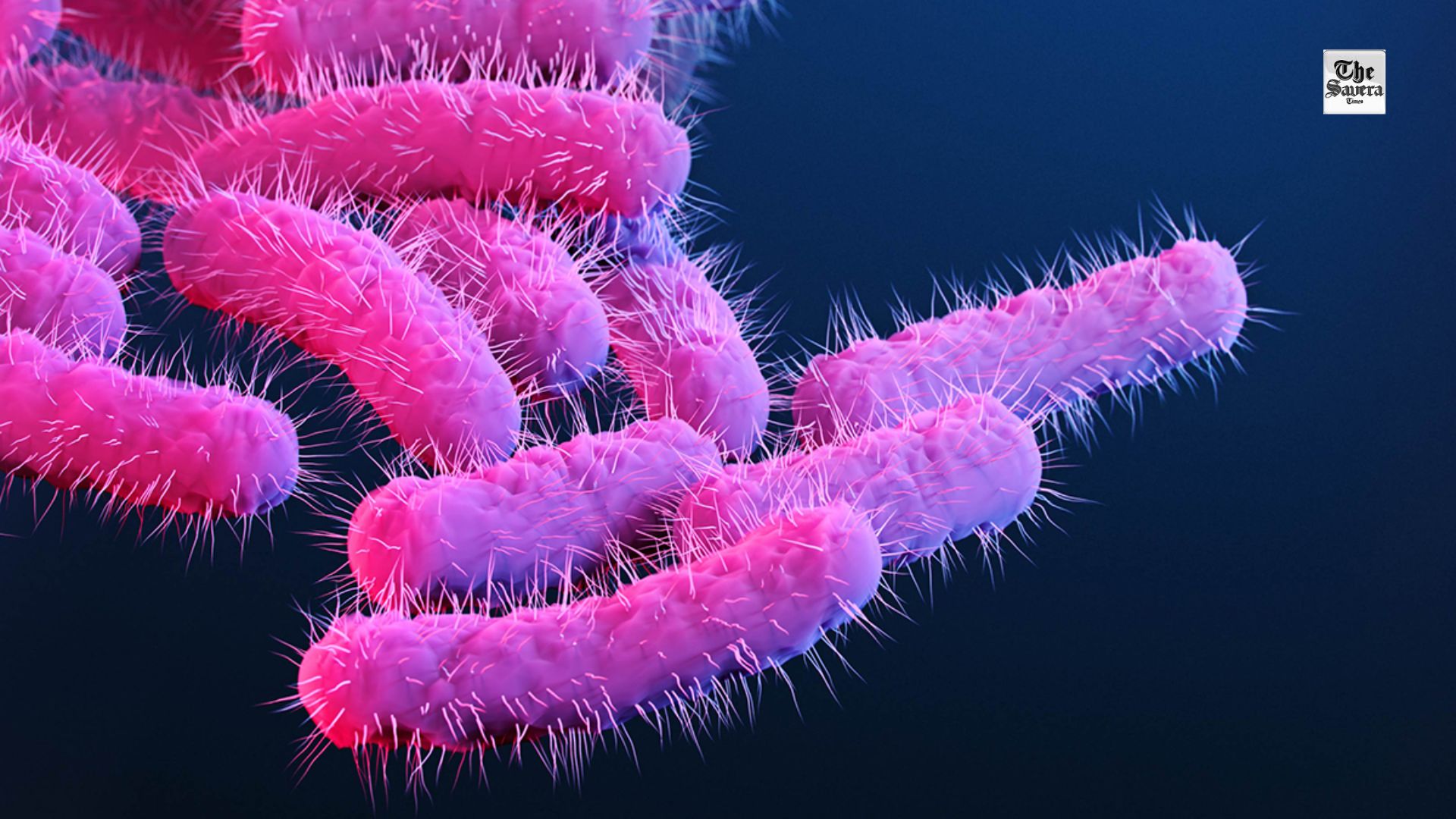 Kerala on Shigella Alert, Health Department Tightens Vigilance