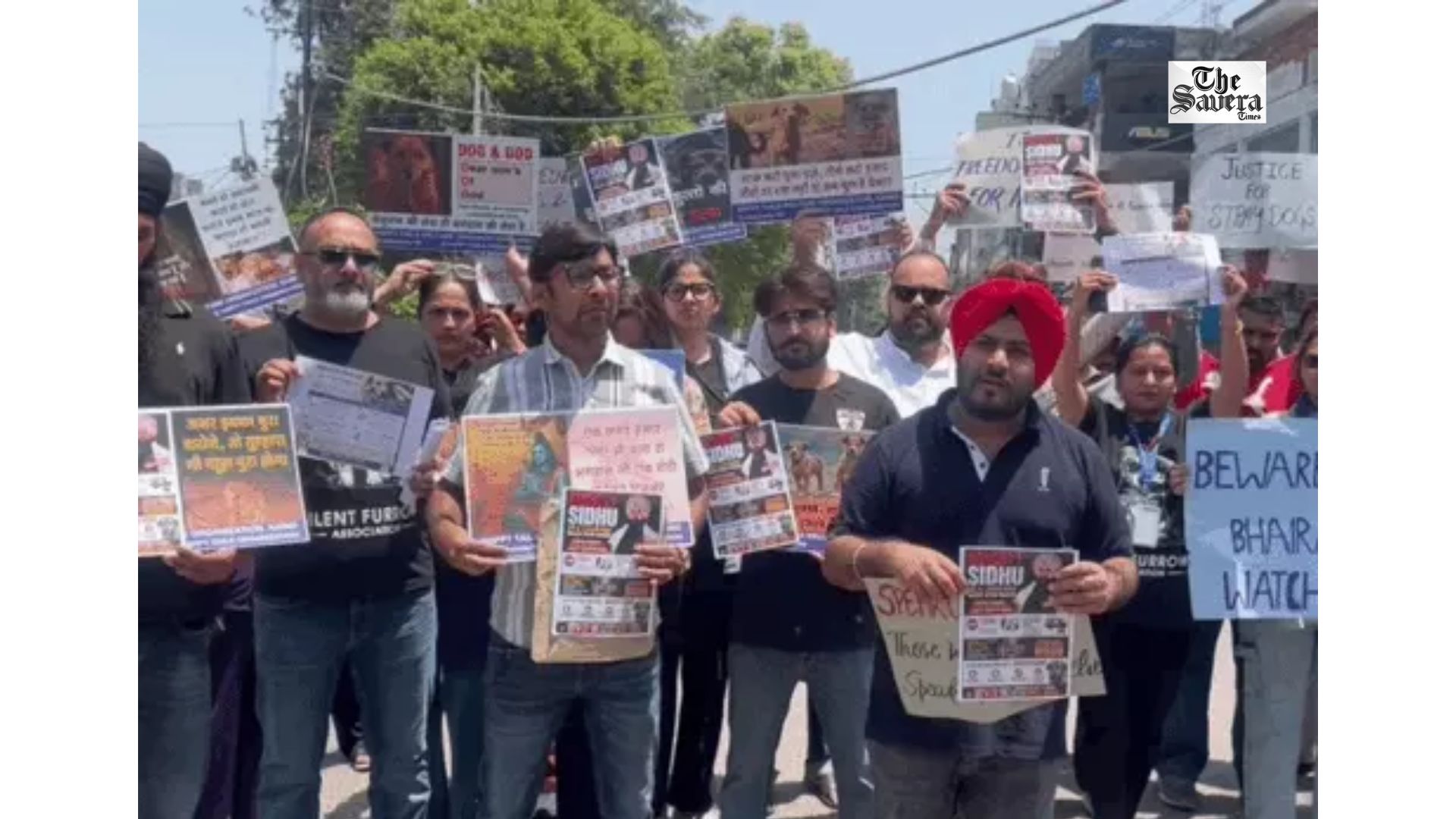Animal lovers in Ludhiana staged a protest outside MLA Sidhu’s residence after a viral video surfaced