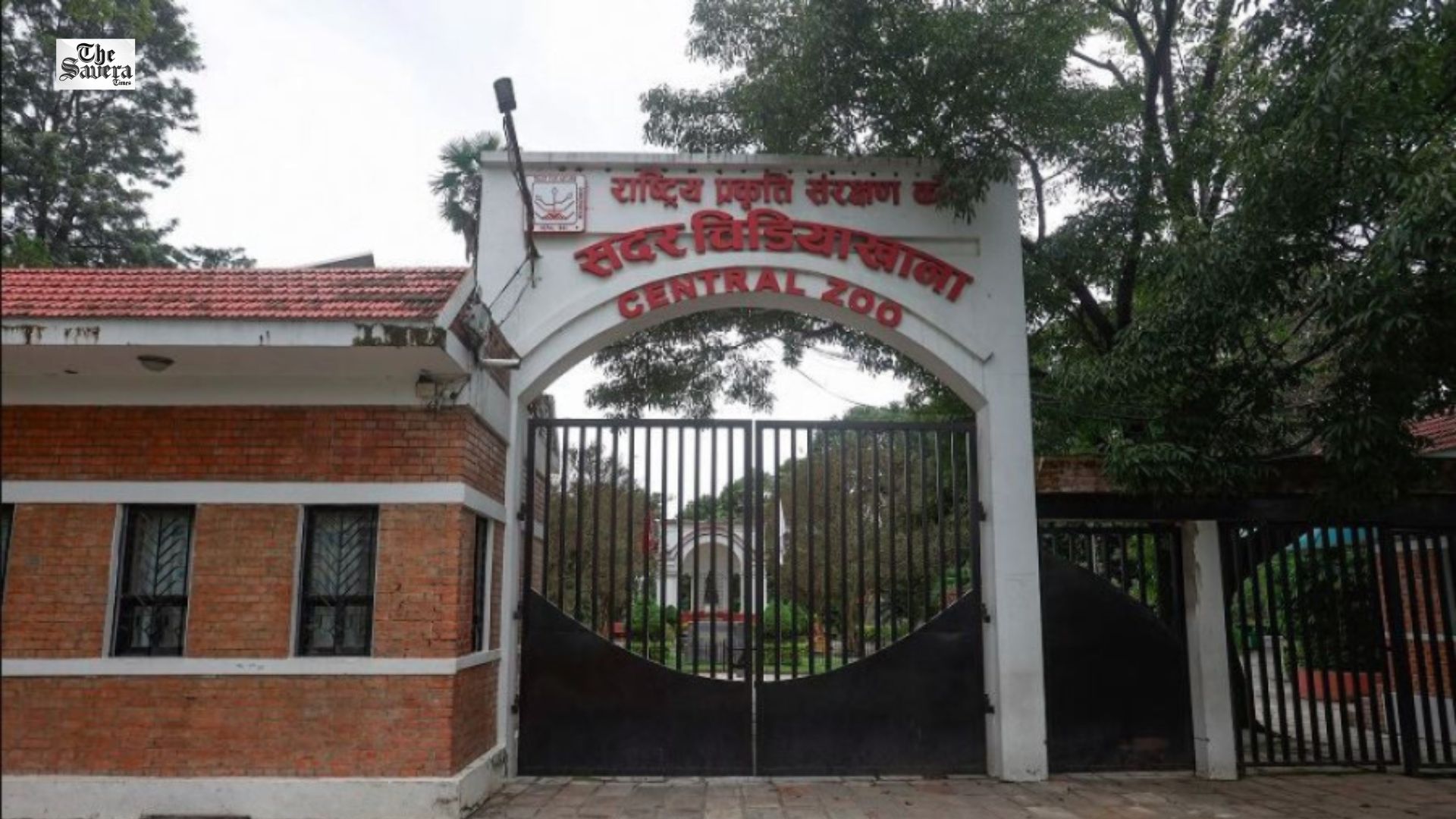 Nepal’s Central Zoo Closed After Bird Flu Outbreak Confirmed