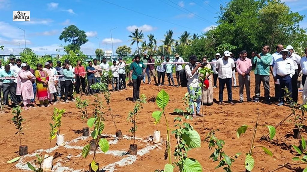 Karnataka to Plant 15 Lakh Saplings in Bengaluru Tomorrow
