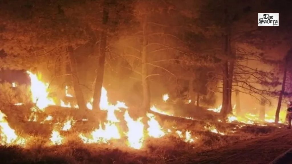 Colorado Wildfire: Three US Firefighters Killed Near Utah Border as Fires Spread