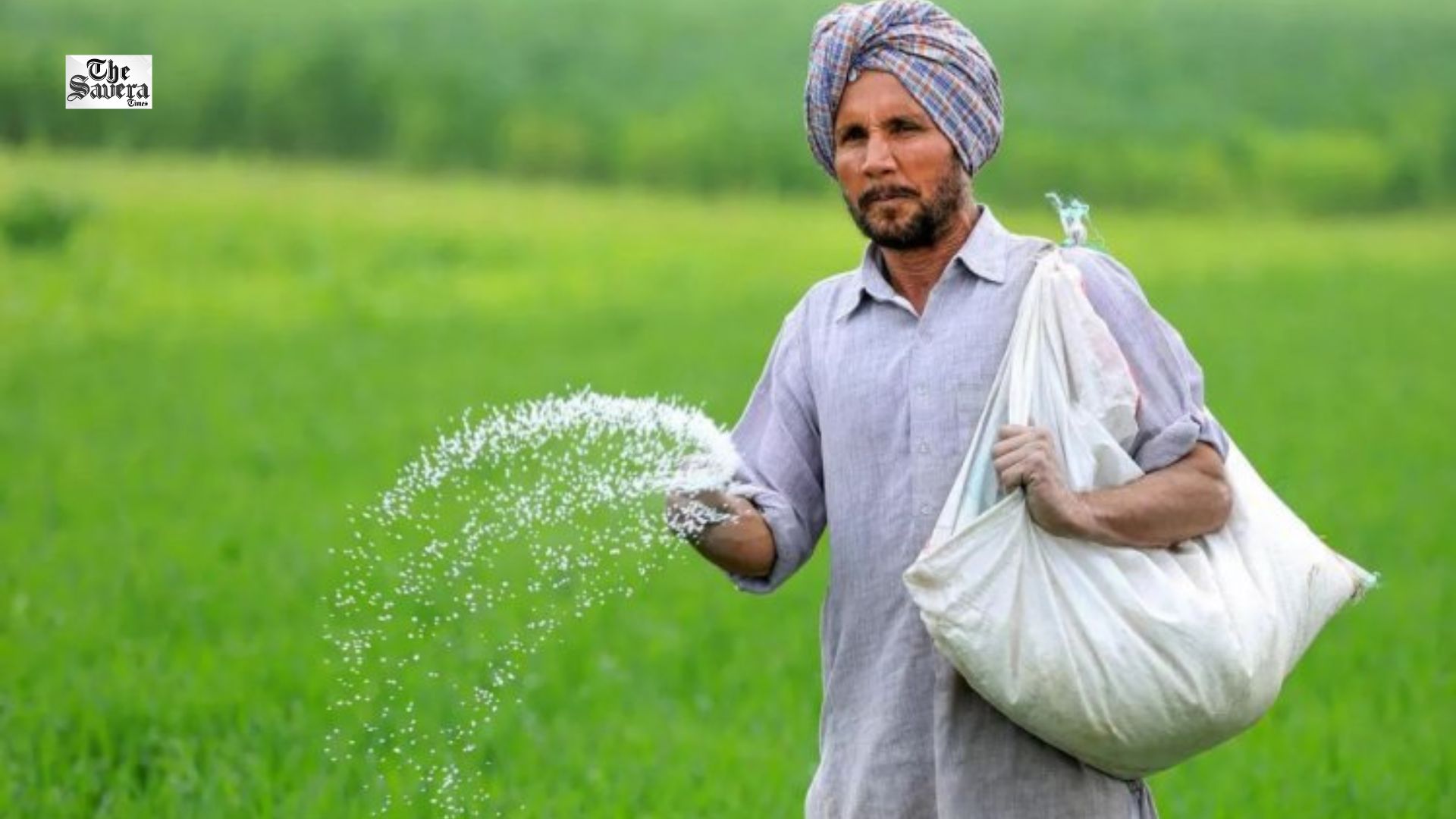 Punjab Govt Chargesheets 7 Markfed and Milkfed Officials in Urea Diversion Case; Departmental Action Taken