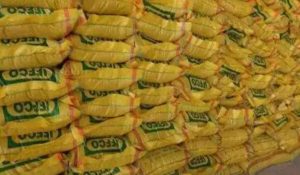 Fertilizer crisis in Himachal Pradesh ahead of maize sowing; consignment not reached IFFCO warehouses
