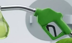 India Not Alone in E20 Transition