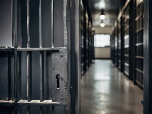 Rajasthan HC seeks report on dacoit Jagan Gurjar's murder inside Ajmer high-security jail