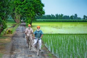 Changing Social Face of Punjab