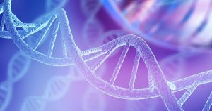 THE KARMA OF BLOODLINES  DO WE INHERIT MORE THAN GENES?