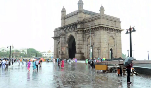 63-year-old dies after tree collapses on shop as incessant rain wreaks havoc in Mumbai