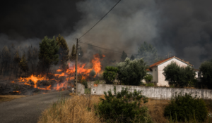 Portugal’s wildfire-burned area nearly quadruples every year amid extreme heat