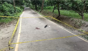 Vaishali Double Murder: Prime Accused Hurt in Encounter While Evading Arrest