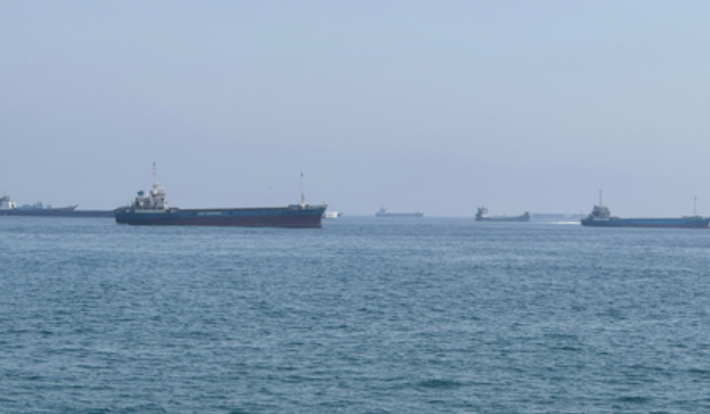 India strongly condemns the attack on vessels transiting Strait of Hormuz