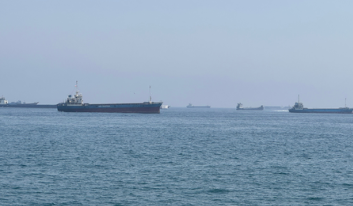 India strongly condemns the attack on vessels transiting Strait of Hormuz