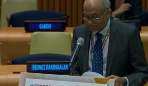 India Warns UNSC Inaction Is Eroding Global Faith in the United Nations