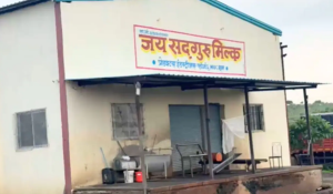 Major expose of fake milk in Maharashtra: 23 million liters of adulterated milk feared to be reaching the market